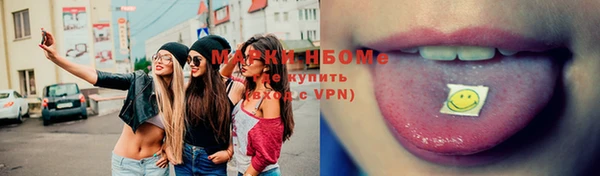 шишки Алексин
