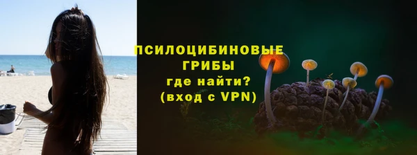 МДПВ Алексеевка