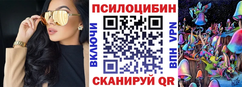 Галлюциногенные грибы Psilocybe  Североуральск 